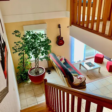 Maison 2* Avec Jardin, Proche Centre Et Pistes Cyclables A - Fr-1-239-1023 Holiday home Capbreton